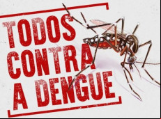 231 dos 295 munícipios de Santa Catarina tem casos registrados de dengue