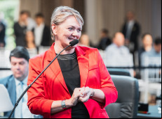 Deputada Luciane Carminatti (PT)