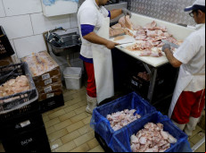 Prazo de 28 dias para Brasil ficar livre da gripe aviária começa hoje