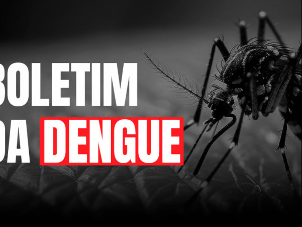 Até o momento, foram confirmados nove óbitos por dengue
